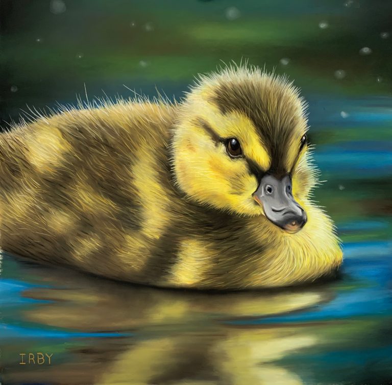 slackajack duckling